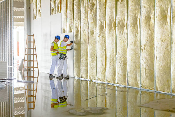 Best Home Insulation Services  in Social Circle, GA